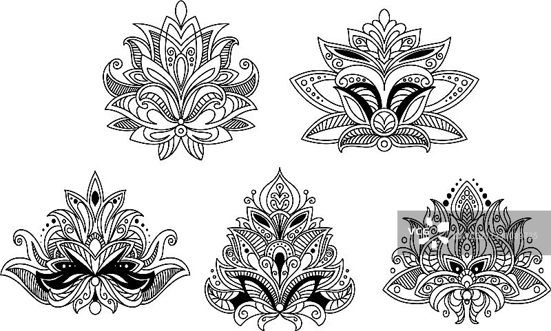 印度和波斯佩斯利花卉设计元素图片素材