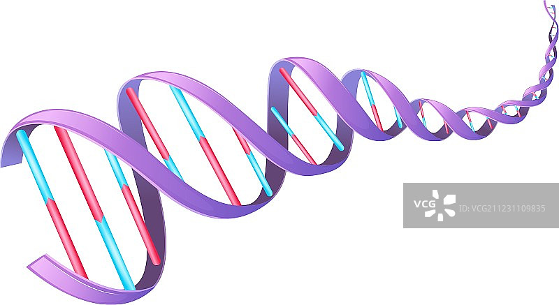 人类DNA图片素材