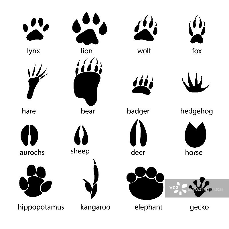 不同动物足迹组合图片素材