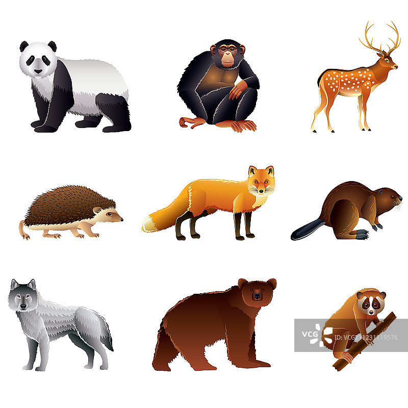 亚洲动物合集图片素材