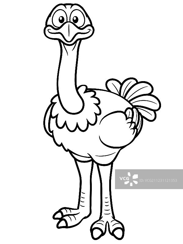 鸵鸟轮廓图片素材