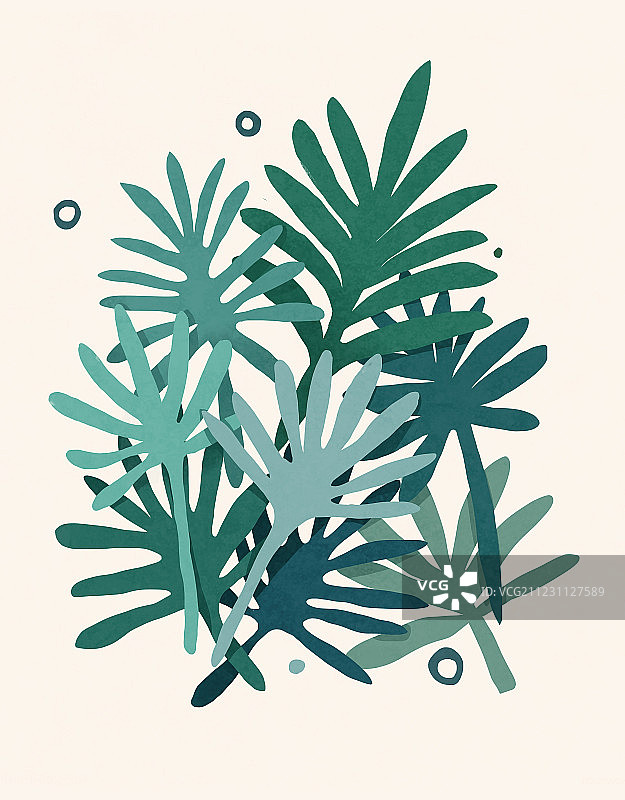 叶子植物图片素材