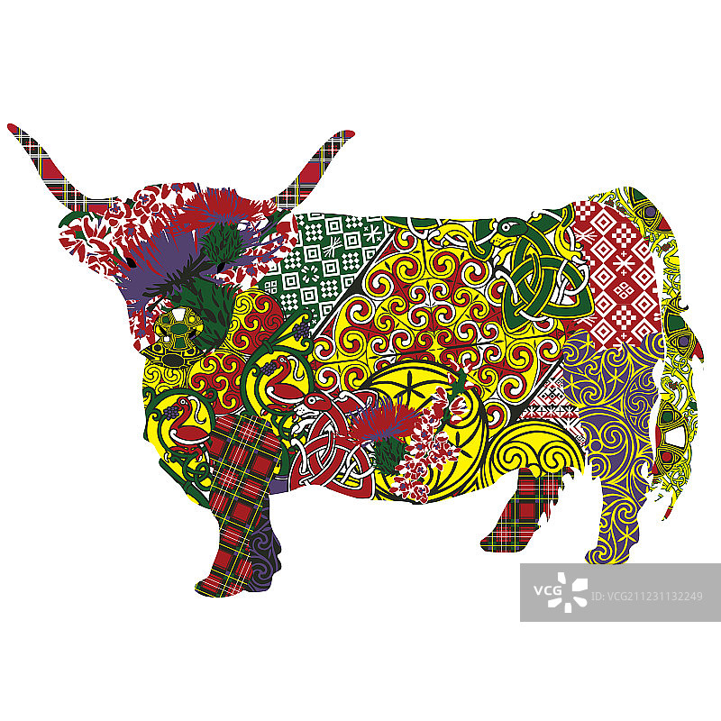 苏格兰纹样的奶牛图片素材