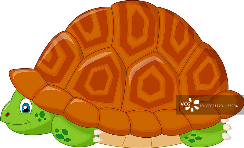 藏在壳里的卡通海龟图片素材