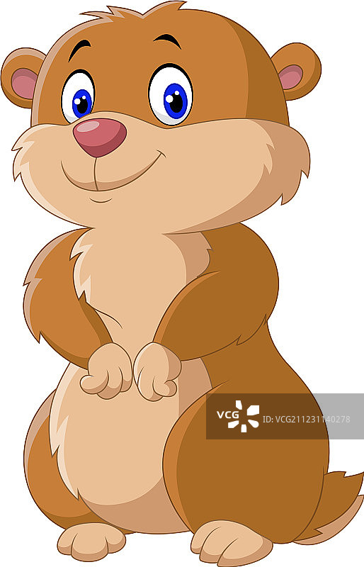 白色背景下可爱的土拨鼠图片素材