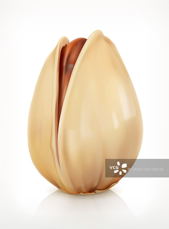 带壳开心果图标图片素材