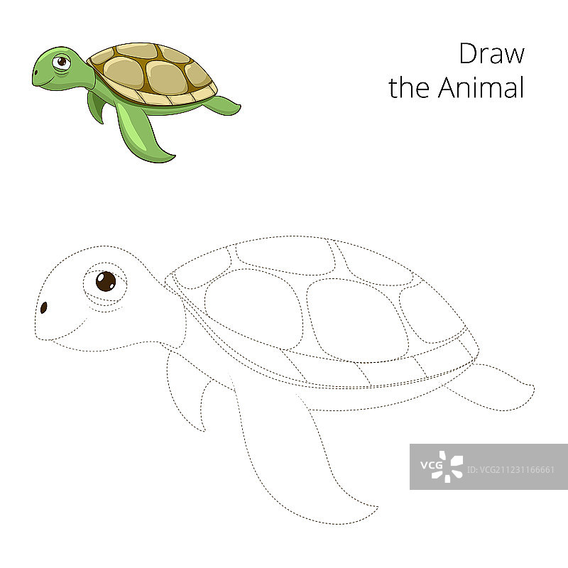 海洋动物海龟绘画教育图片素材