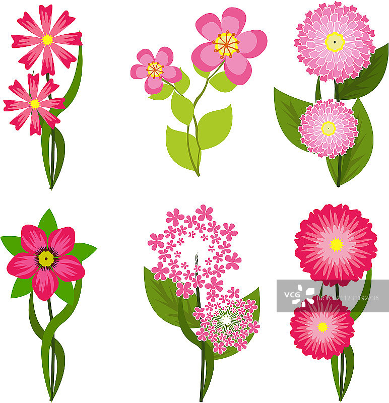 春天的花朵图片素材