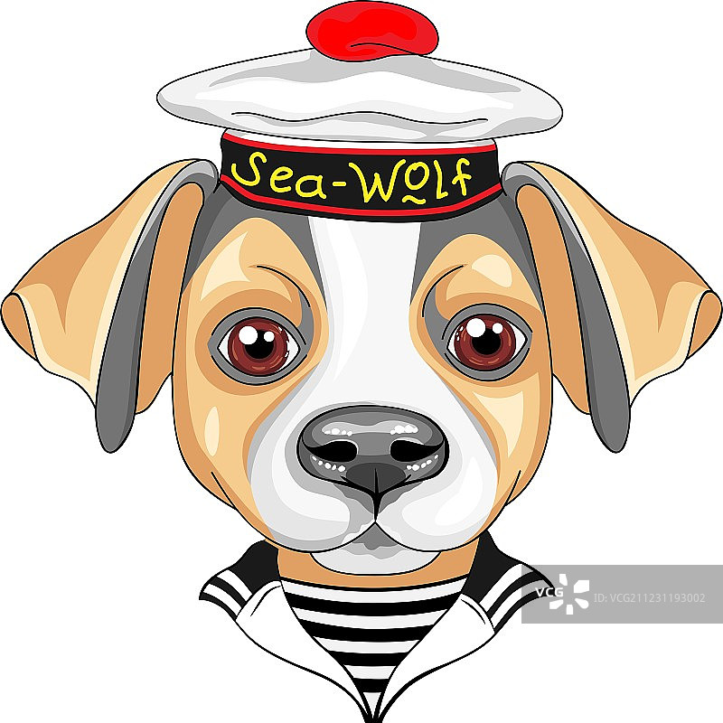 卡通狗杰克罗素梗水手图片素材