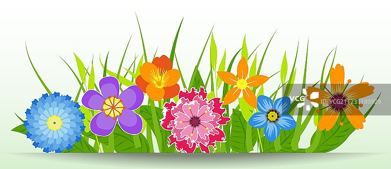 春天的花朵图片素材