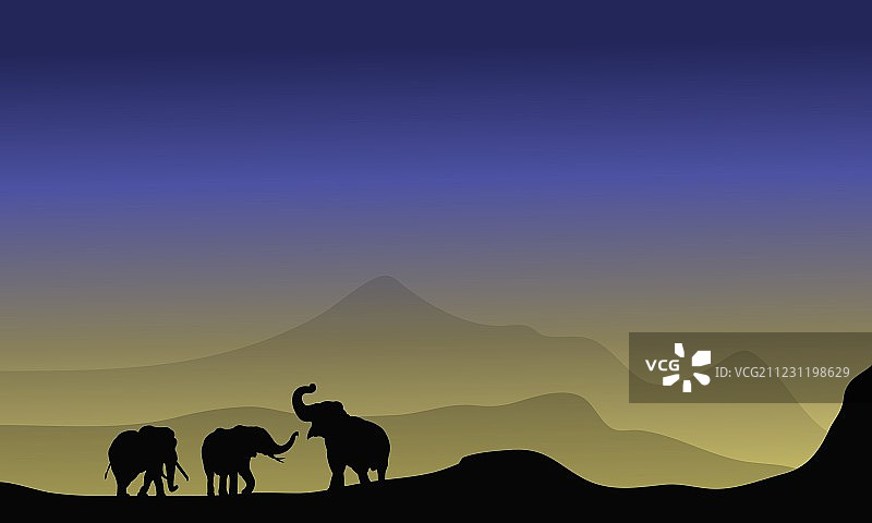沙漠中的大象剪影图片素材