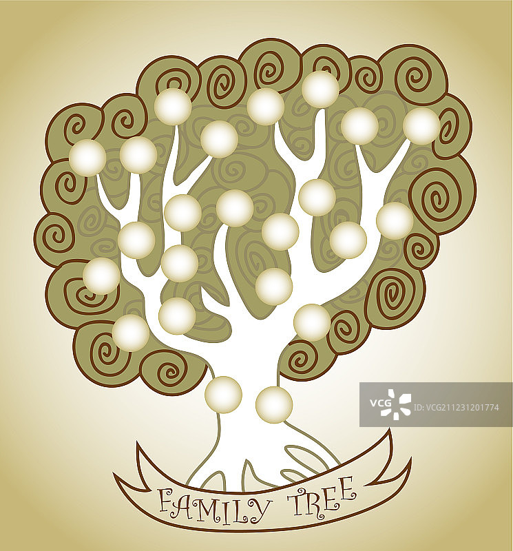 卷曲的家谱树图片素材
