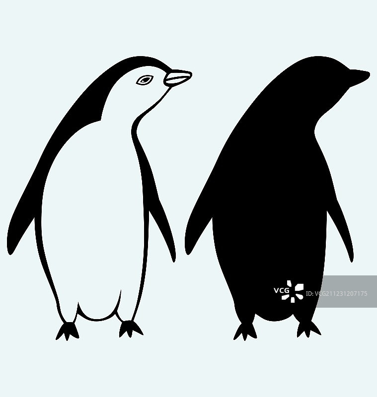 卡通企鹅图片素材