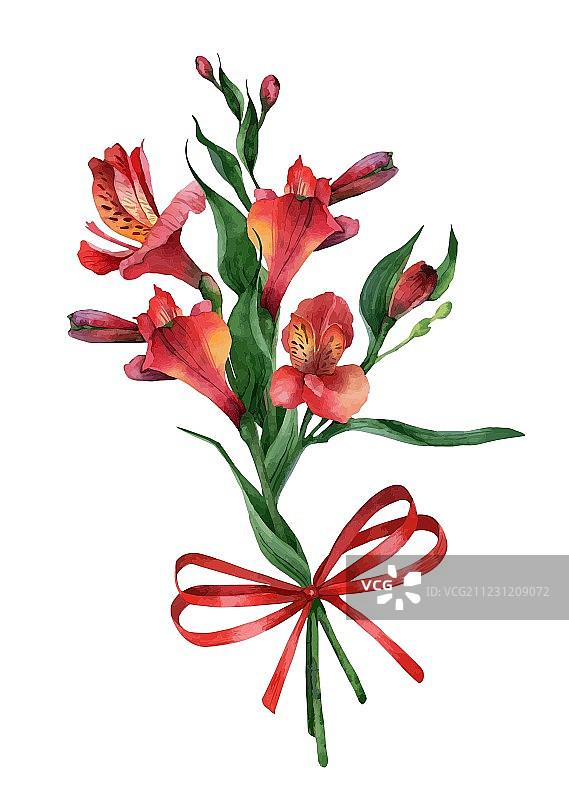 六出花图片素材