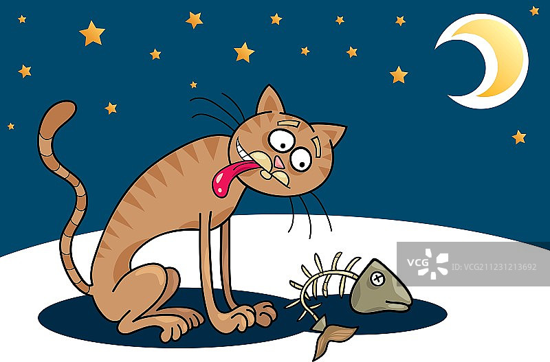 流浪猫图片素材