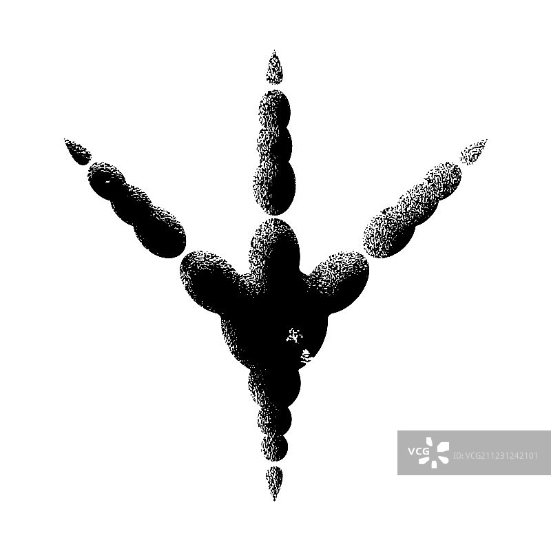 小径上的鸟类图片素材