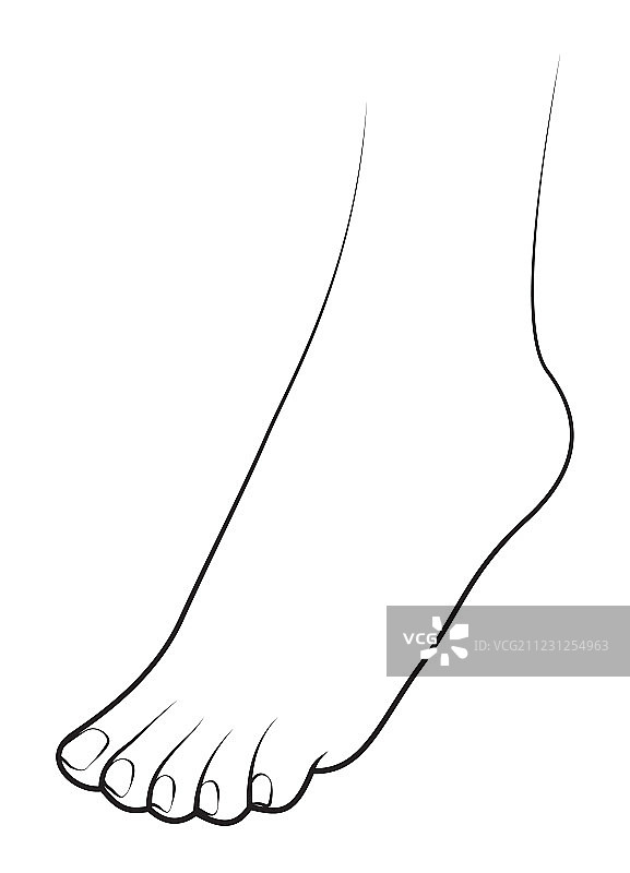 白色背景上的人脚图片素材