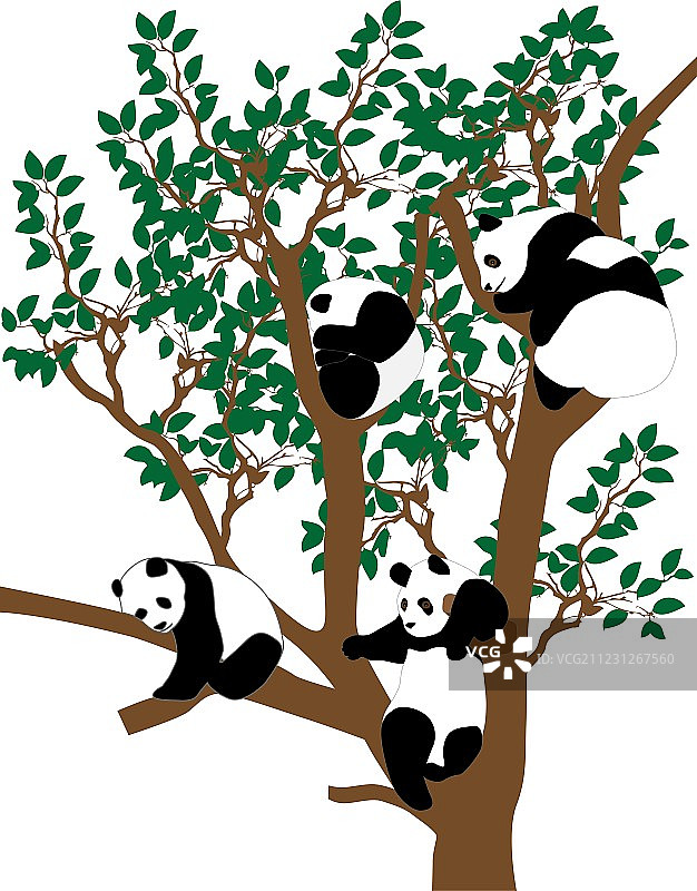 树上的熊猫图片素材