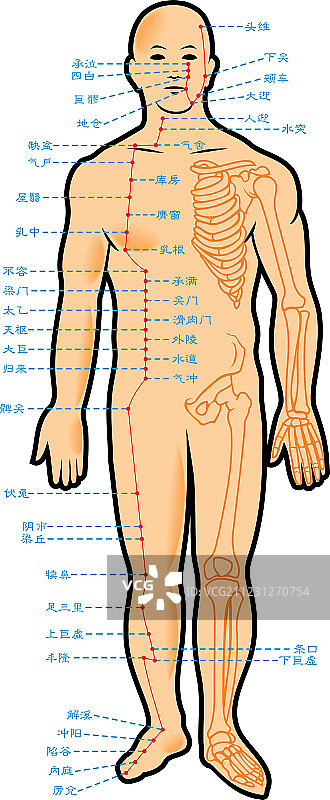 中医针灸示意图图片素材