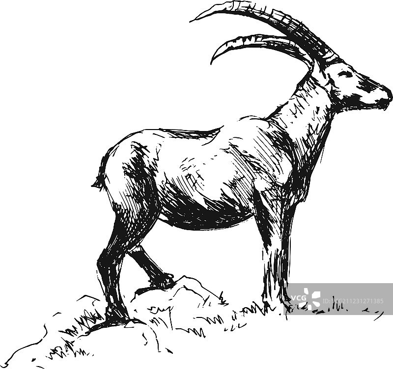 手绘摩羯座图片素材