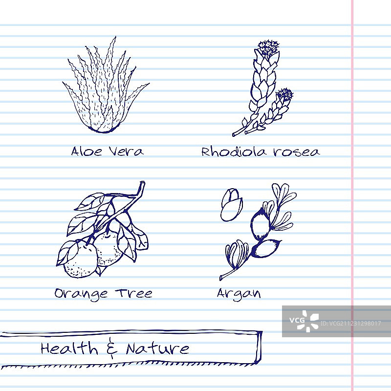 手绘健康与自然套装图片素材