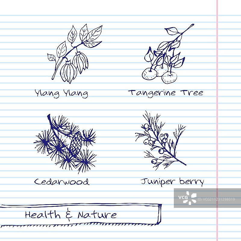 手绘健康与自然套装图片素材