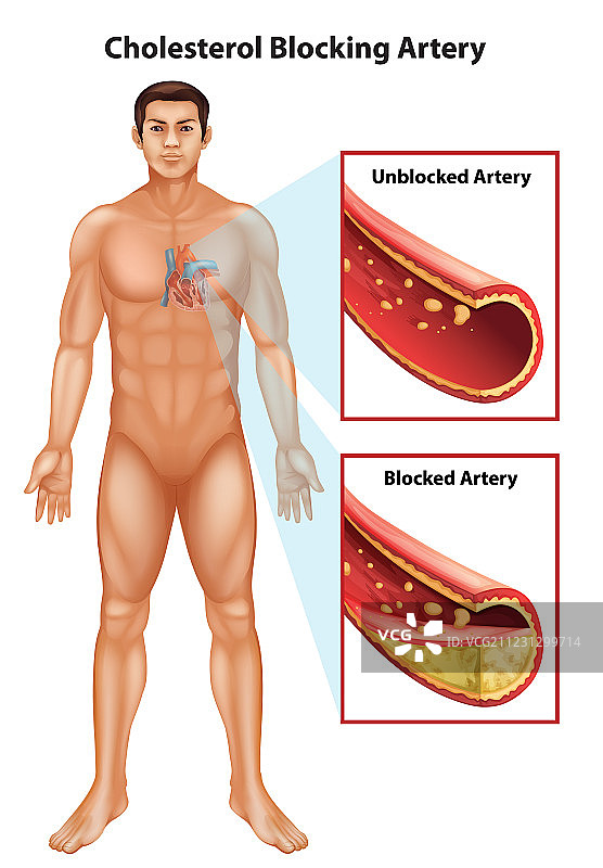女人手与大脑图片素材