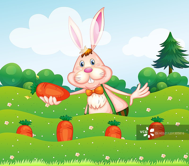 花园里抱着胡萝卜的兔子图片素材