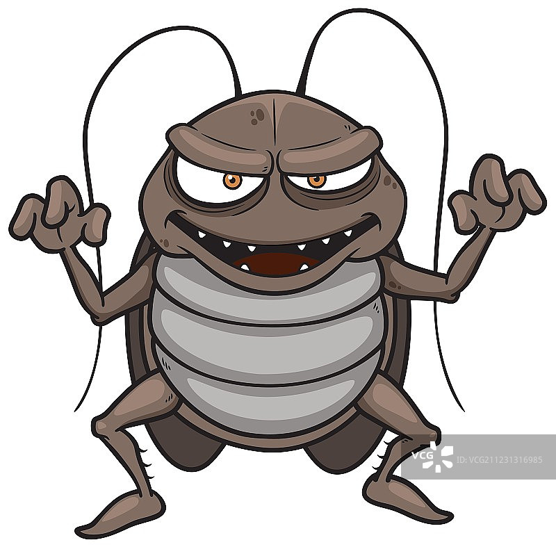 蟑螂图片素材