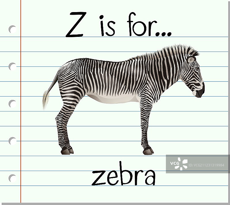 Z字母抽认卡：斑马图片素材