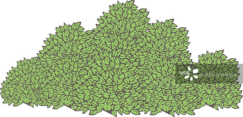 灌木丛图片素材