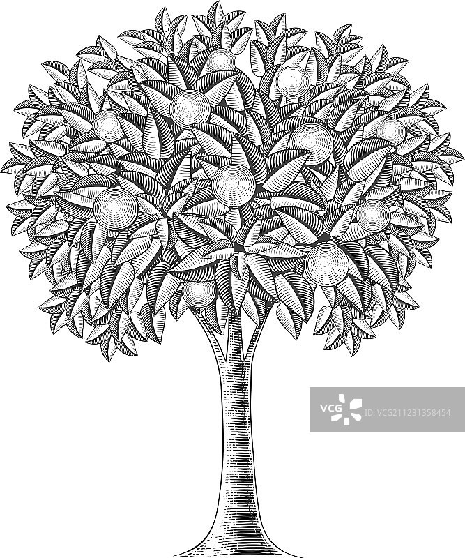雕刻风格的果树图片素材