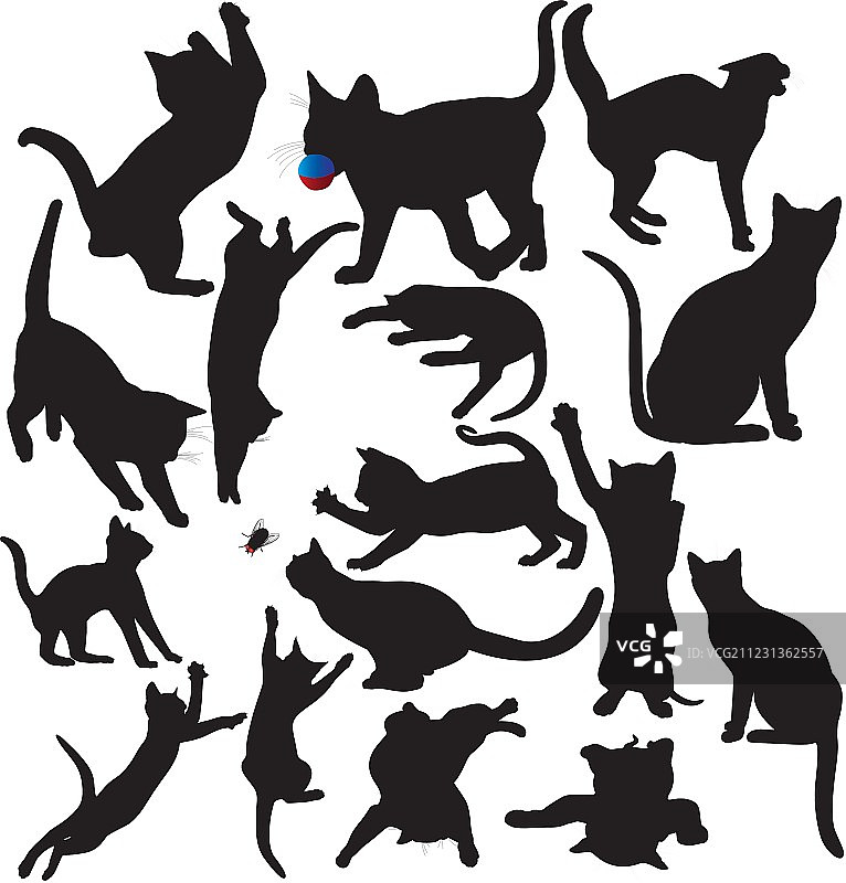 猫和幼猫剪影图片素材