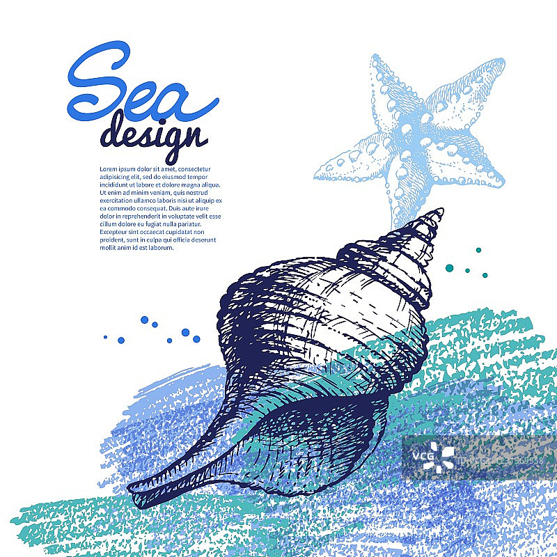 海洋贝壳背景设计图片素材