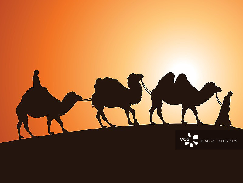 沙漠中的骆驼和贝都因人图片素材