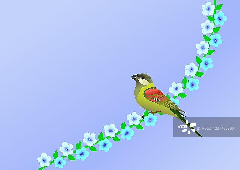 自然风光鸟类图片素材