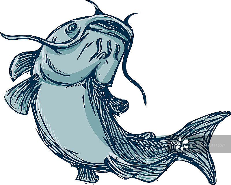 鲶鱼跃起绘画图片素材