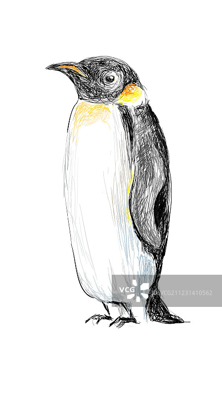 手绘企鹅图片素材