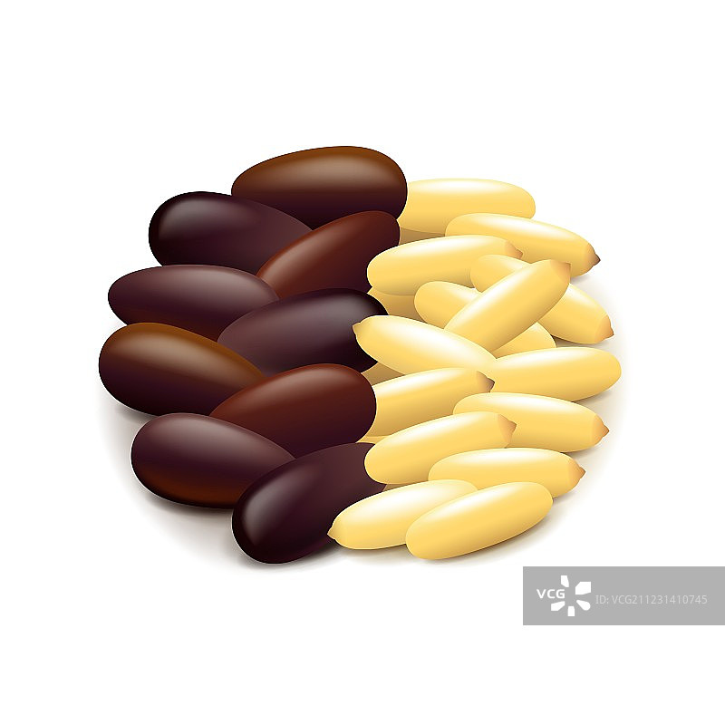 白色背景下的松子图片素材