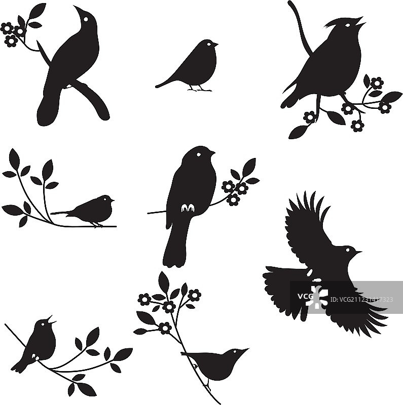鸟类剪影合集图片素材