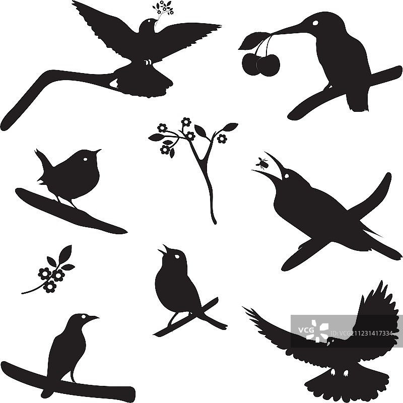 鸟类剪影合集图片素材