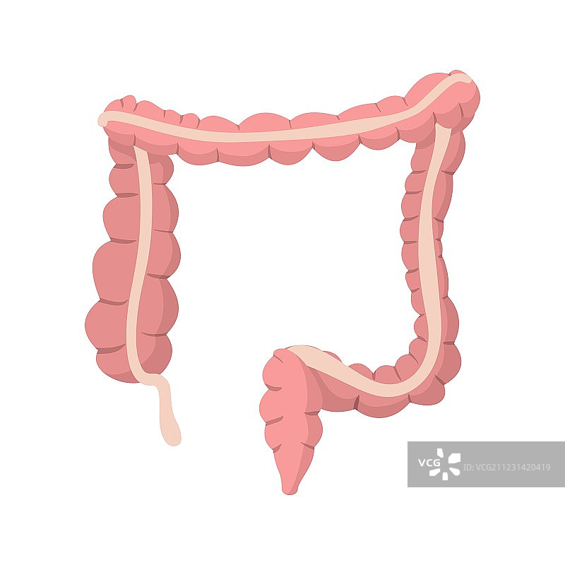 人体结肠卡通图标图片素材