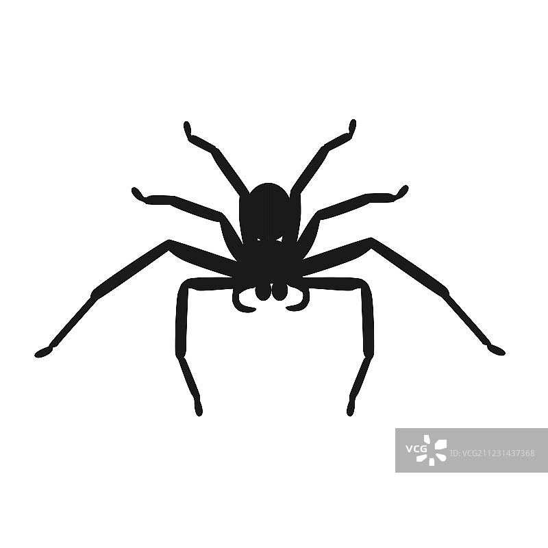 蜘蛛图标图片素材