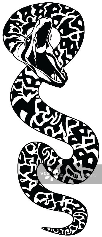 蛇纹身图片素材