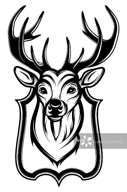 作为战利品的雄鹿头图片素材