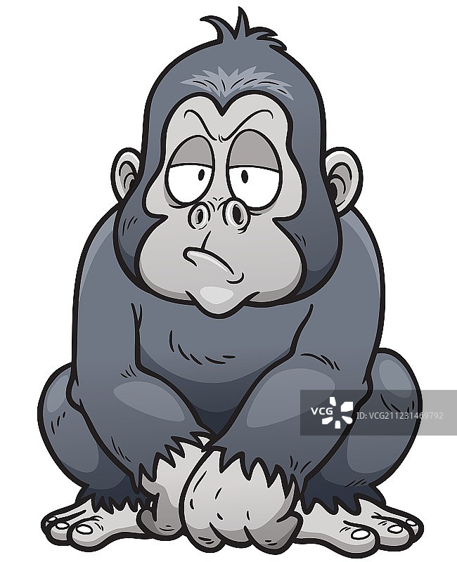 大猩猩图片素材