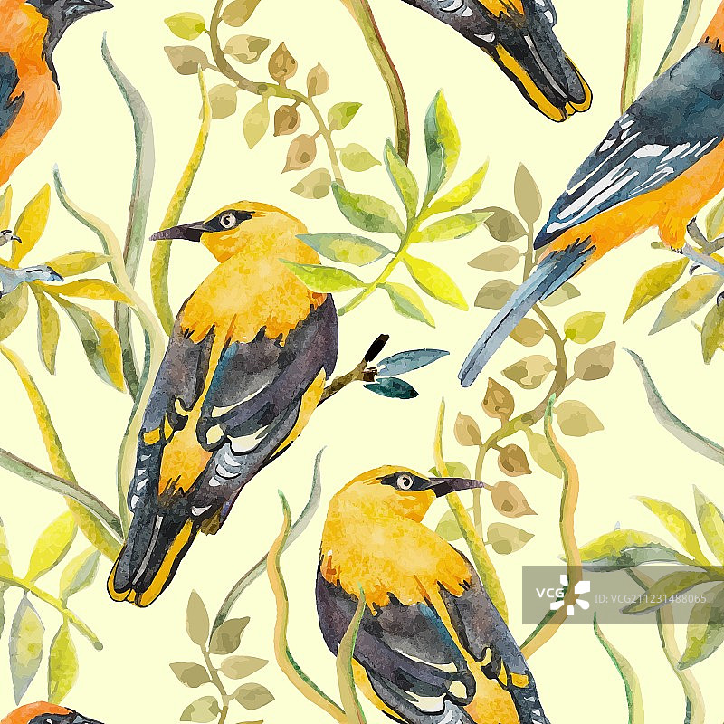 鸟类和植物无缝图案图片素材