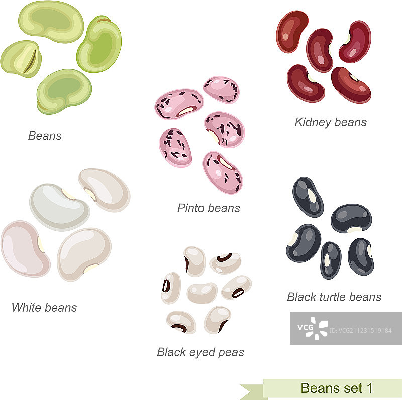 豆类和豌豆图标合集图片素材