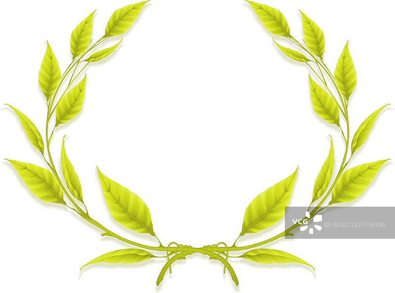 月桂花环设计元素图片素材