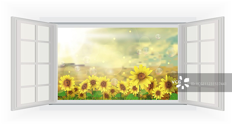 向日葵田上的夏日阳光与开放式窗户图片素材